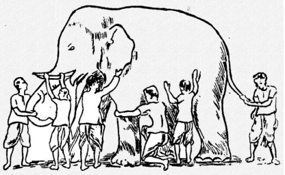 Blind Men and the Elephant