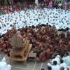 Life of a Jain Monk During Chaturmas
